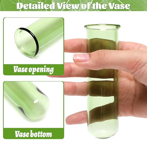 Glass Plant Propagation Station with 5 Test Tubes Colorful Planter Vase - color: Green