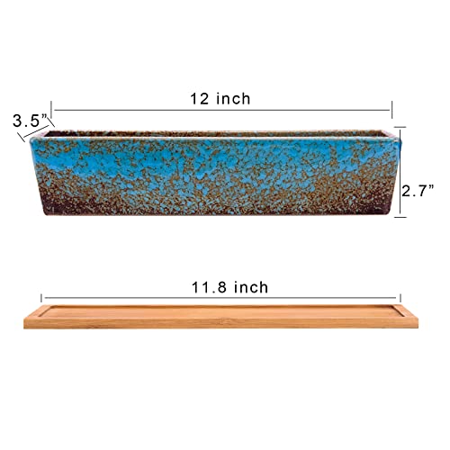 Succulent Pots, 12'' Large Long Rectangle Succulent Planter Pots with Drain - color: Blue