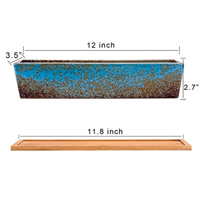 Succulent Pots, 12'' Large Long Rectangle Succulent Planter Pots with Drain - color: Blue