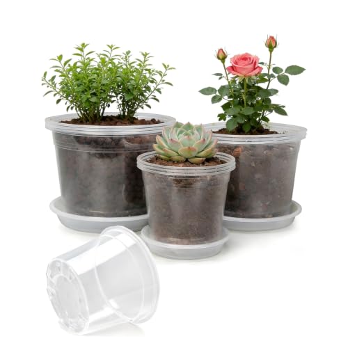 4 Sets 10 Inch Large Clear Nursery Pots with Drainage Holes - color: 10 Inch