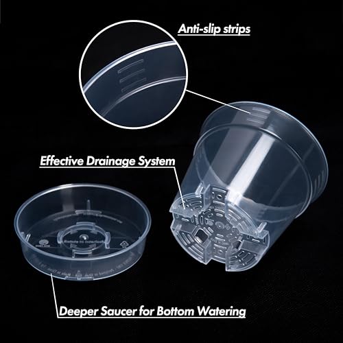 4 Inch Clear Plastic Plant Pot with Drainage Holes, Interlocking & Detachable Tray - Deep Saucer - Durable BPA-Free Plastic, Transparent Design, Raised Base for Airflow, Set of 6, 92-X-A-2 - size: 4" x 3.5"
