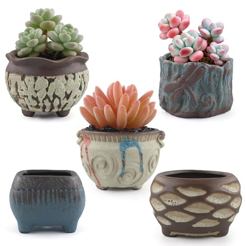 Ceramic Garden Pots Succulent Plant Planter Container with Drainage Set of 5 Small for Home Office Decor - color: D 5-piece Set