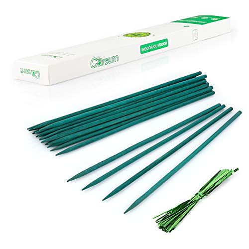 Garsum Green Bamboo Sticks Garden Wood Plant Stakes,Floral Plant Support Wooden,Wooden Sign Posting Garden Sticks,15 Inches 25 Pack - color: 15 inch-plant stakes