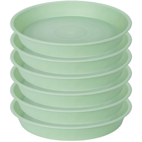 6 Pack Plastic Plant Saucer Water Drip Tray, 4 5 6 7 8 9 10 11 12 13 15 17 19 inch, Heavy Sturdy Plant Drainage Tray for Indoors Outdoor, Saucers for Pots Base (4", Light Green) - color: Light Green, size: 4"