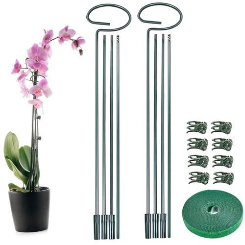 2 Set Metal Plant Sticks Support Tall 48 Inch Adjustable Plants Stem Support Rod Amaryllis Holder Stake Garden Flower Rings with 20PCS Clips 16.5' Plant Ties for Outdoor Indoor Plants - color: 2Set Green