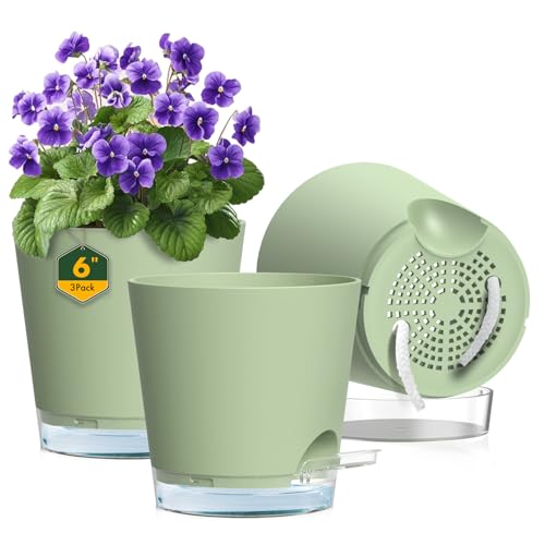 Meowell 6 inch Self Watering Pots for Indoor Outdoor Plants, 3 Pack Flower Plant Pots with Drainage Holes and Clear Reservoirs, Visible Water Level, Plastic Planters with Wicking Rope, Green - color: Green, size: 6in 3pcs