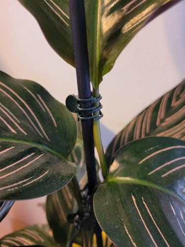 Plant Clips for Support Orchid Support Clips Flower Vine Garden Clip for Climbing Plants Orchid Clip for Supporting Stems Vine Stalks Grow Upright 30pcs
