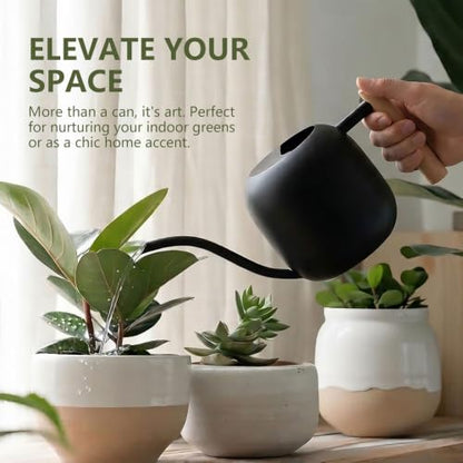 Watering Can 45 oz Long Spout Wooden Handle Stainless Steel