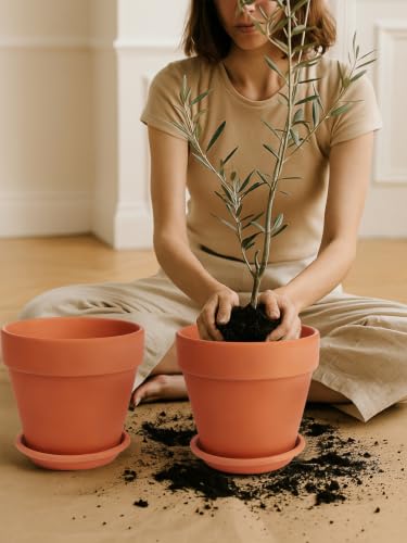 INGOFIN Terracotta Pot Set of 2 with Saucer - 10 Inch Ceramic Clay Pot for Plants with Drainage Hole, Large Terra Cotta Flower Planter with Tray for Indoor Outdoor Plants - size: 10/10 inch -2 pcs