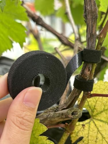 3Rolls Nylon Plant Ties Reusable Self Adhesive Plant Fastener Tape for Support Garden Supplies,200Ccm (Black) - color: Black