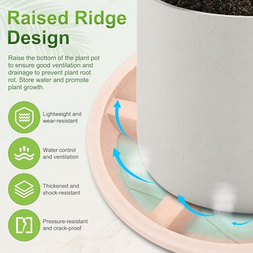 M METERXITY 2-Pack Plant Saucers, 6 Inch OD Anti-Rot Root Resin Flower Pot Plant Saucers for Indoor/Outdoor, Flowerpot Drip Tray [4.7 Inch ID, White Pottery] - color: White Pottery, size: 6 Inch OD