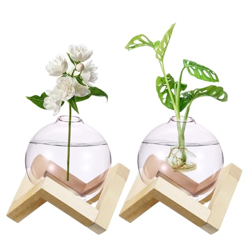 M METERXITY 2 Pack Glass Planter Terrarium with Wooden Stand, Desktop Plant Propagation Station Bulb Vase for Hydroponic Plants Propagation/Home Garden Decor/Plant Lover [Pink] - color: Pink