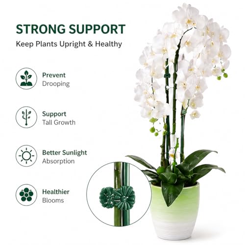 10PcsPlant Support Stakes with Ladybug Clips Green - color: Green+Ladybug Clips