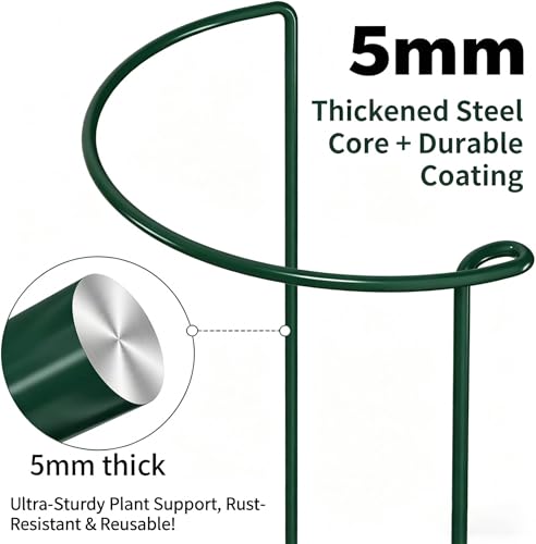AMAGABELI GARDEN & HOME Plant Support Stakes - color: 6-pack, size: 6 Pack-10" W x 15.8" H