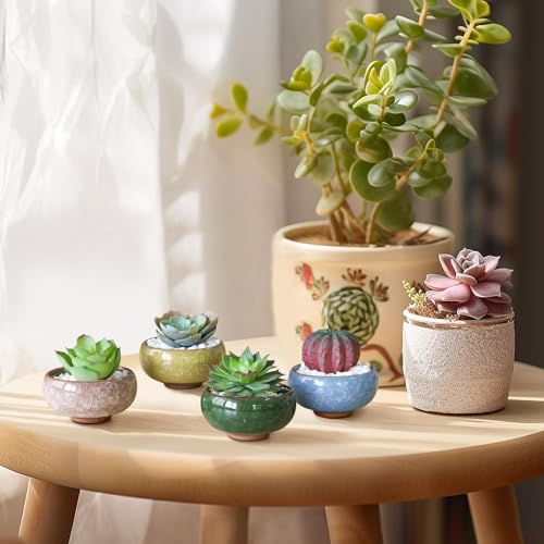 T4U Mini Succulent Pots, Small Shallow Ceramic Pots, Retro Gift Set of 6 - size: Small