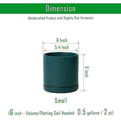 D'vine Dev 2-Pack Ceramic Pots with Saucers, Teal, 6 in, 94-V-C-9 - color: Teal, size: 6 Inch
