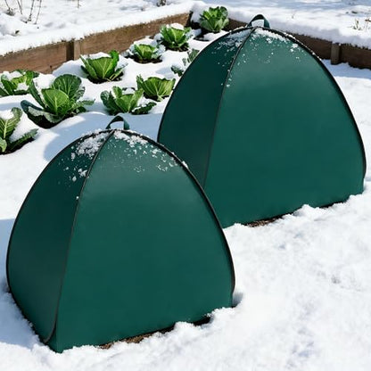 2 Pcs Pop Up Shrub Covers Frost Protection Tent, 22" x 22" x 22" Winter Plant Cover Freeze Protection, Warm Garden Plant Protector Tent for Protecting Outdoor Shrub Fruit Potted Plants from Snow & Ice - color: 22 x 22 x 22 inch