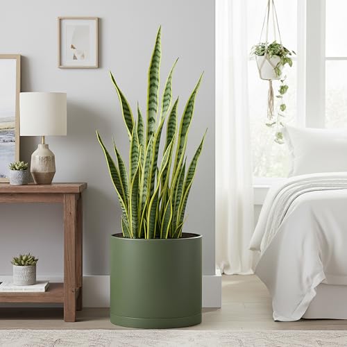 D'vine Dev Plastic Planter Pot with Saucer, 12 in, Olive, 74-X-I-3 - color: Olive, size: 12 Inch