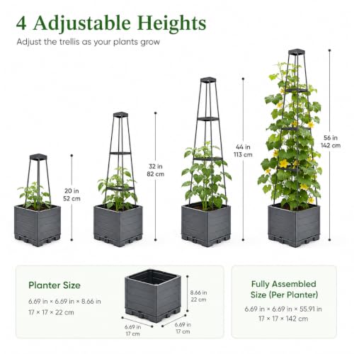 2 Pack Raised Garden Beds with Trellis, 56 Inch Self-Watering Tomato Planter Boxes, 4 Adjustable Heights with 10 Plant Clips and 65 FT Garden Ties for Climbing Plants, Grey