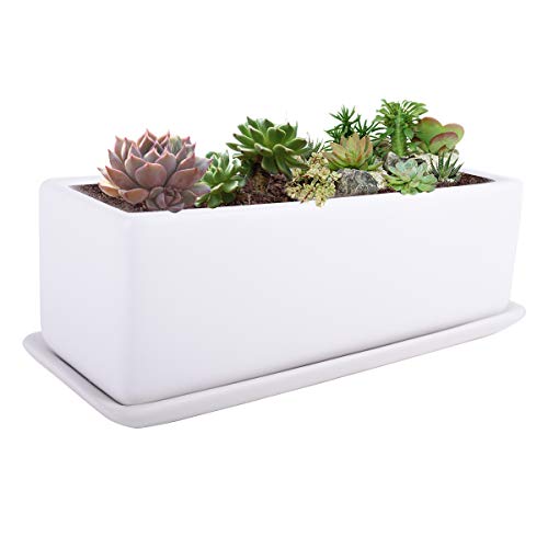 Vencer 12 Inch Rectangular Modern Minimalist Ceramic Succulent Planter Pot - Window Box with Saucer,Office Desktop Potted Stand,White,VF-0135 - color: White, size: 12 Inch