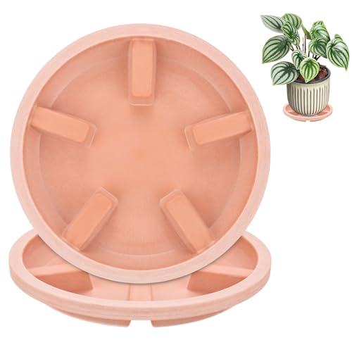 M METERXITY 2-Pack Plant Saucers, 6 Inch OD Anti-Rot Root Resin Flower Pot Plant Saucers for Indoor/Outdoor, Flowerpot Drip Tray [4.7 Inch ID, Red Pottery] - color: Red Pottery, size: 6 Inch OD