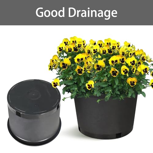 2 gallon Plant Nursery Pot 10-Pack 2 Gallon Short Plastic Garden Planter Pots Flower Seedling Injection Molded Container Seed Starting Pot Set for Indoor Outdoor Plants Seedlings Vegetables Black - size: Short 2 Gallon