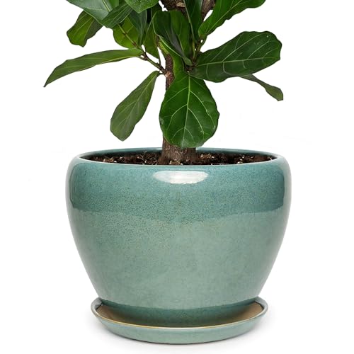 11 Inch Ceramic Plant Pot with Drainage Hole Mesh Net, Large Gardening Pots for Indoor Plants with Saucer, Blue-Green - color: Blue-green, size: 11 Inch