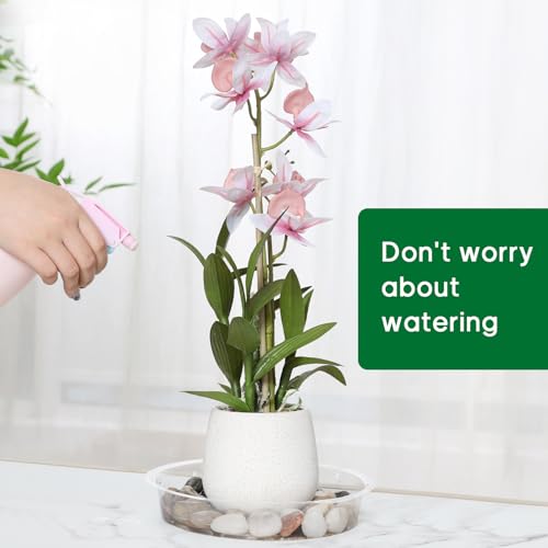 JERIA 40 Pack Clear Plant Saucers（6/8/10/12 Inch）,Plastic Flower Pot Trays,Round Durable Plant Drip Trays for Indoor and Outdoor - size: 6/8/10/12 Inch (40 Pack)
