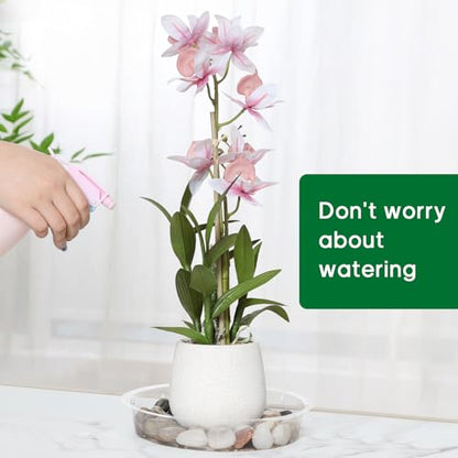 JERIA 6 Inch 20 Pack Clear Plant Saucers,Plastic Flower Pot Trays,Round Durable Plant Drip Trays for Indoor and Outdoor - size: 6 Inch (20 Pack)