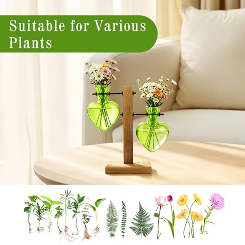 XXXFLOWER Plant Propagation Station Terrarium 2 Green Heart Shaped Vase - color: Green