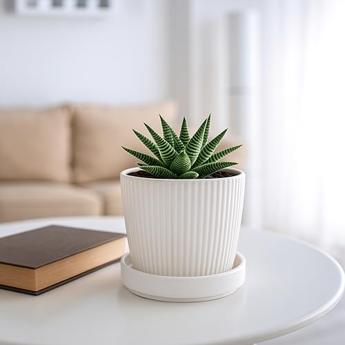 D'vine Dev 4-Pack Ceramic Plant Saucers, 3.7 in, White, 97-T-A-11 - color: White, size: 3.7" (4 Pack)