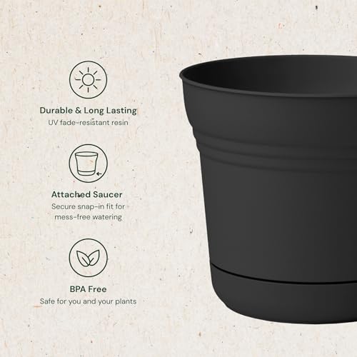 Bloem SP0700 Saturn Planter with Saucer, 7", Black - color: Black, size: 7"