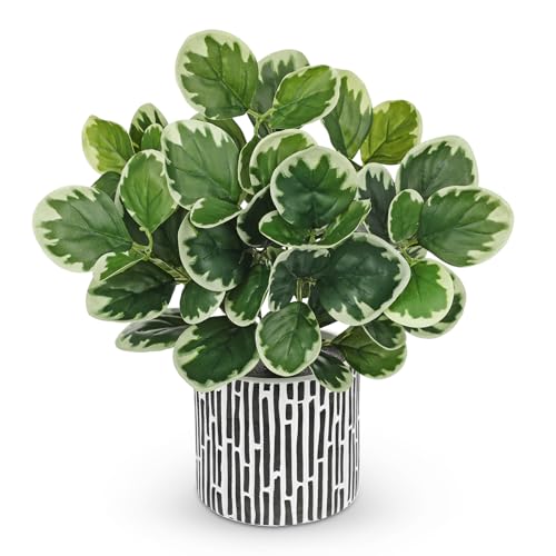 Villa Como 13" Artificial Plants Indoor Small Fake Plant in Ceramic Pot - color: #Green #3