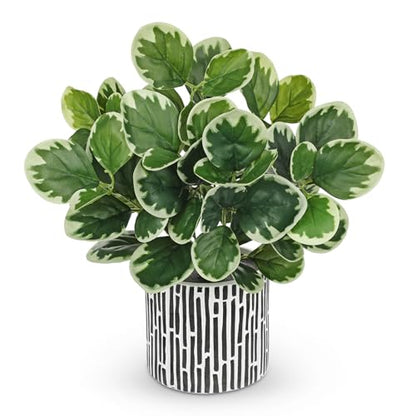Villa Como 13" Artificial Plants Indoor Small Fake Plant in Ceramic Pot - color: #Green #3
