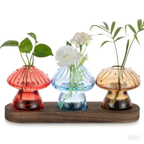Hewory Plant Propagation Station: 3PCS Colored Mushroom Vase with Wood Tray - color: Colored, size: 3