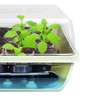 Jiffy Seed Starter Tray Kit, Self-Watering, Seedling Tray, 2 Pack - size: 2 Pack