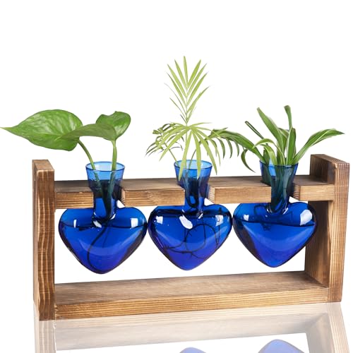 Kingbuy 3-Heart Plant Terrarium Kit with Vintage Wood Stand - Stained Glass Vase Propagation Station, Wall-Mounted & Tabletop Indoor Decor for Home Kitchen Wedding Gift, Blue - color: Blue
