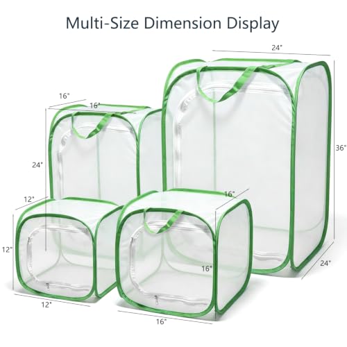 Insect & Butterfly Habitat Cage, Portable Pop-Up Terrarium with Mesh Sides, Bug Catching & Observation Enclosure for Caterpillars, Small Insects, Outdoor & Classroom Use, 16 Inches Tall - color: White/Green, size: 16 × 16 × 16 inches