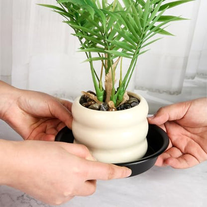 6 Pack 6 Inch Plant Saucer Tray, Heavy Duty Plastic Plant Pots Dray Tray, Black - color: Black, size: 6"(6Pack)