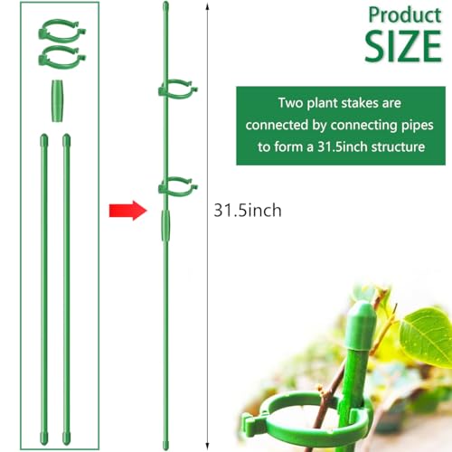 Belit 8 Pack Small Plant Support Plant Stakes, Adjustable Garden Single Stem Support Stake, Planter Support Ring for Orchid, Rose, Peony, Peppers and More, DIY 31.5 inch - size: 31.5Inch