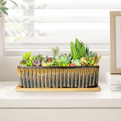 Succulent Pots, 12'' Long Rectangle Planters with Tray, Windowsill Planter - color: Flow Glaze