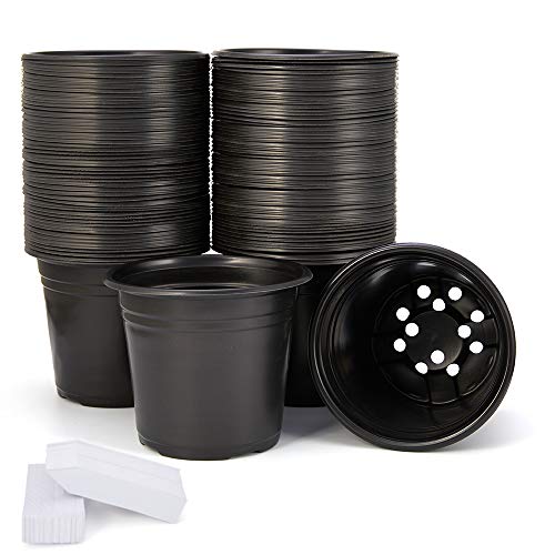 JERIA 100-Pack 0.5 Gallon Plant Nursery Pots, Plastic Pots for Flower Seedling, Flower Plant Container Seed Starting Pot, Come with 100 Pcs Plant Labels(Black) - size: 0.5Gallon 100P