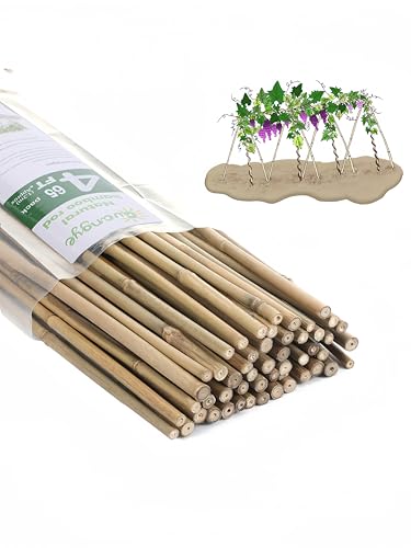 Bamboo Stakes,4Feet,65Pcs,Plant Bamboo Post,GUANGYE,Bamboo Garden Stakes - size: 4Ft,65Pack