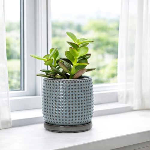 D'vine Dev Beaded Ceramic Pot with Saucer, 4 in, Graphite Blue, 27-C-Z-9 - color: Graphite Blue, size: 4.3 Inch