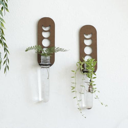 Artilady Plant Propagation Station Wall Hanging, Moon Phase Plant Terrarium - color: Moon Phase Wood