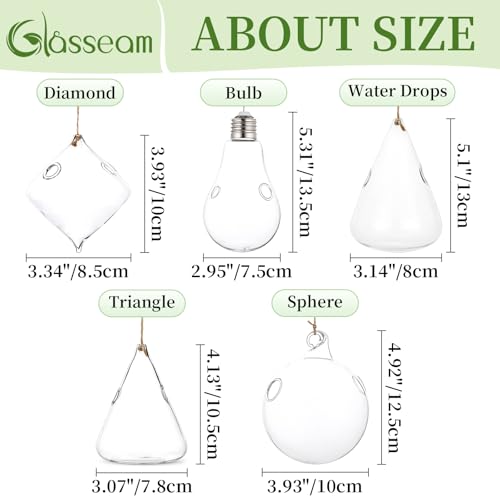 Glasseam Hanging Plant Propagation Station: 5Pcs Small Glass Terrarium Jars