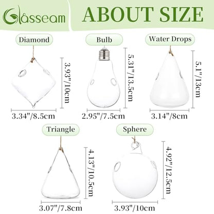 Glasseam Hanging Plant Propagation Station: 5Pcs Small Glass Terrarium Jars
