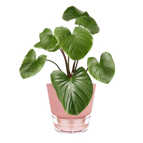 Self Watering Pots for Indoor Plants, with Visible Reservoir, 6 inch Plant Pot with Wick Rope Planter Pot for Indoor Outdoor Plants (Frosted Brick Red) - color: Frosted Brick Red