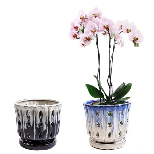 Orchid Pots with Holes Attached Saucers 5 Inches - 2 Pcs Small Ceramic Pots for Repotting, Decorative Ceramic Orchid Planter with Hole for Healthy Root Growth Mixed Color - color: Blue Over White and White Over Black