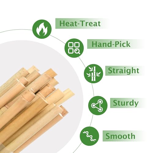 Bamboo Garden Stakes 2ft, 2 Feet Plant Stakes 30 Pack for Outdoor Indoor Plants, Support Tomato, Vegetables Beans, Flowers, Potted and More Climbing Plants - size: 2FT, pack of 30